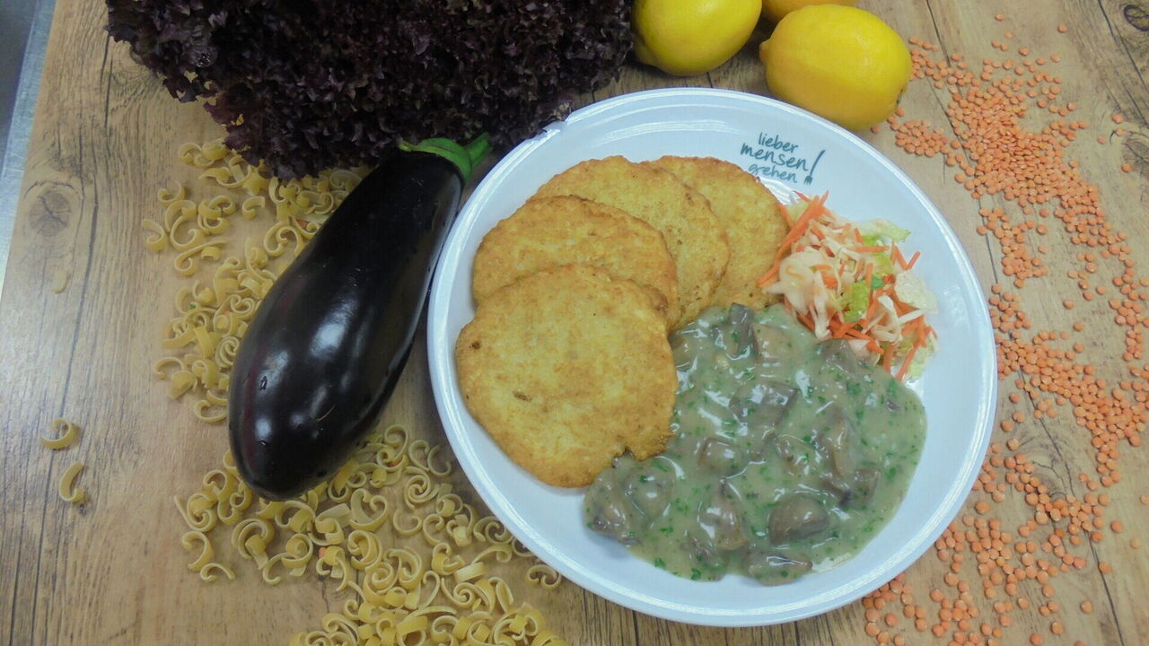 Austernpilze und Champignons in Rahmsoße mit Reibekuchen (F) und Salat